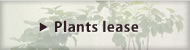 Plants lease